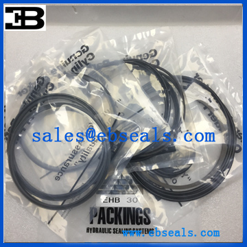 Everdigm EHB30 Breaker Seal Kit