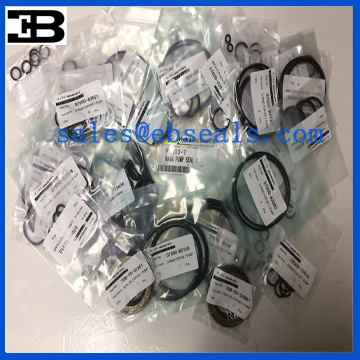 Komatsu PC800-7 Hydraulic Pump Seal Kit Seals