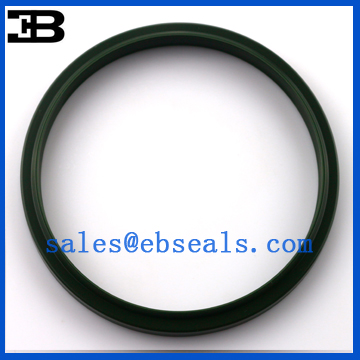 FQ0066-C0 LBI Oil Seal