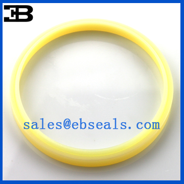 FQ0066-D0 DSI Oil Seal