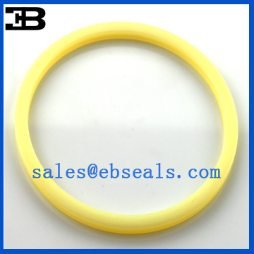 FR00708-A0A ROI CSI seal