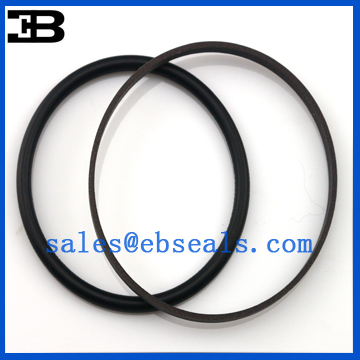 GS1813-V0 SPGO Oil Seal