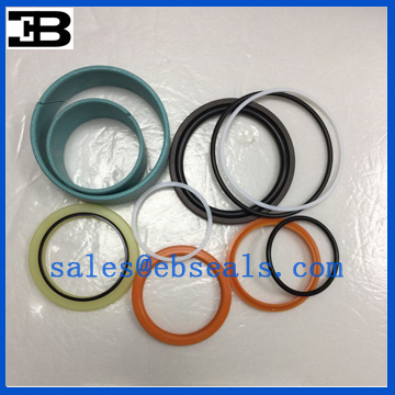 JCB 550/42842 Seal Kit